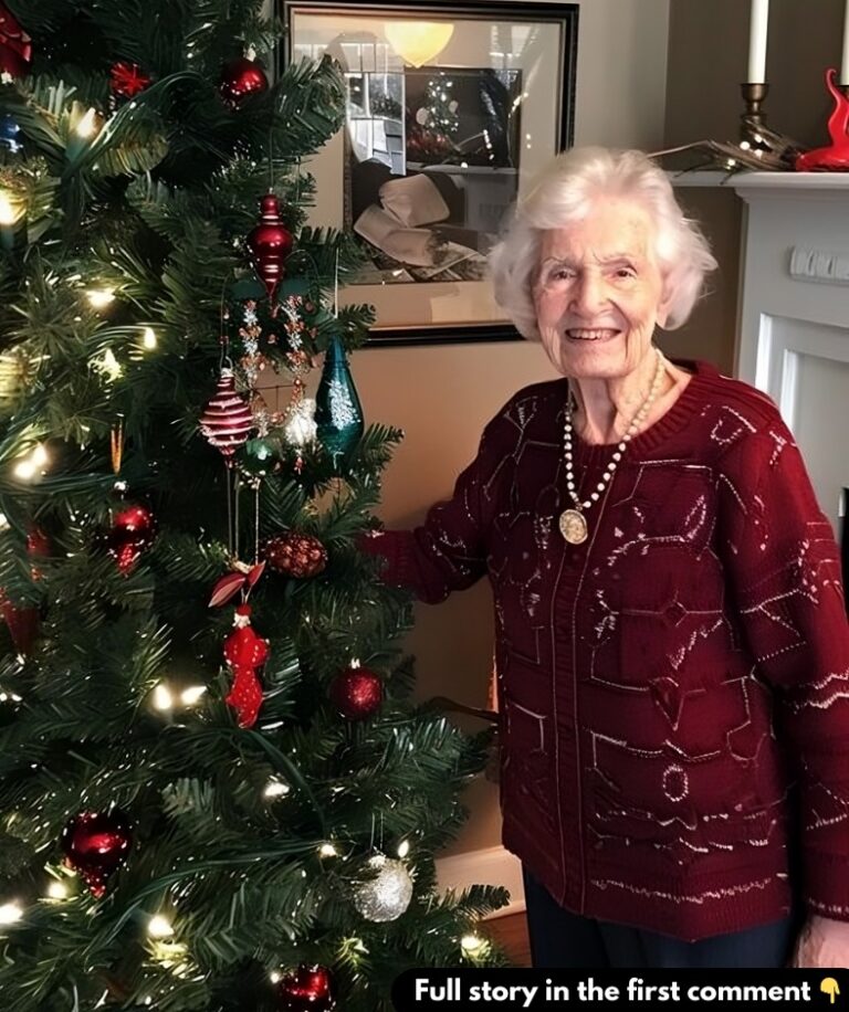 My MIL Decorated a Christmas Tree at 70 — Just Pathetic!