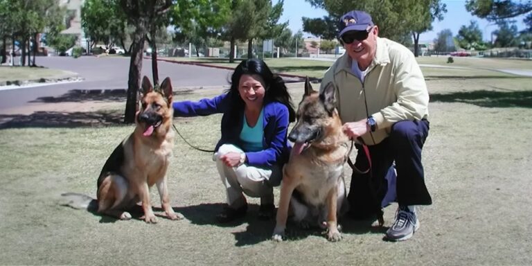 Gene Hackman & Betsy Arakawa’s Friend Gives an Update on Their Two Surviving Dogs