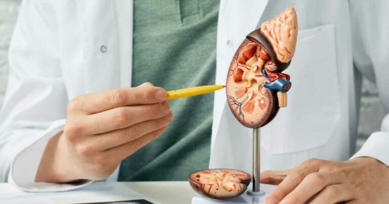 “10 Warning Signs Your Body Might Show If Your Kidneys Are at Risk”