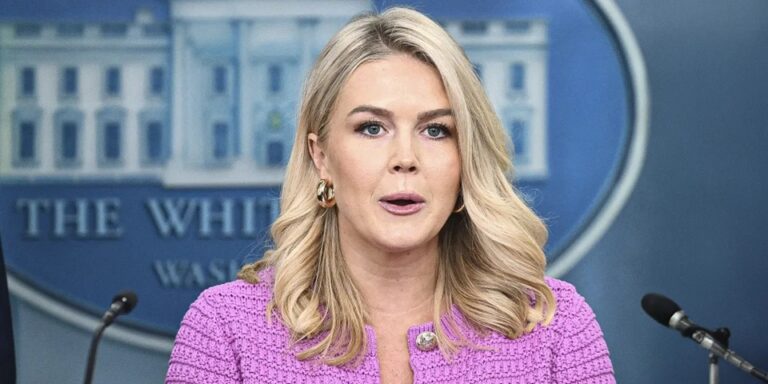 Photo of White House Press Secretary Karoline Leavitt with Her Baby at Work Sparks Debate