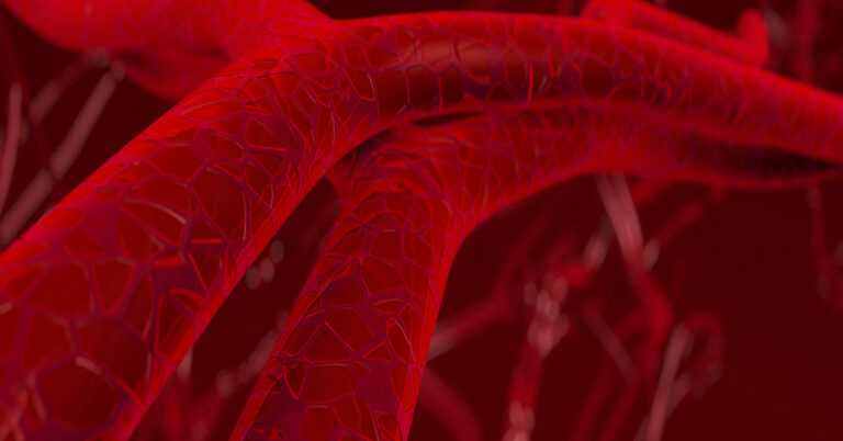 Top 10 Spices & Herbs to Support Arterial Health