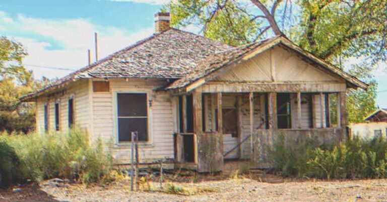 Woman Raises Son’s Daughter He Left 10 Years Ago, He Returns and Finds House Abandoned and Empty – Story of the Day
